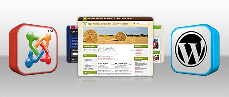 Free web site themes Free web site themes